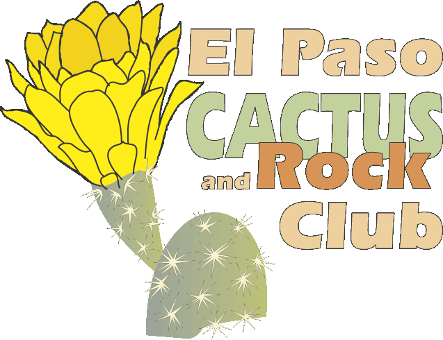 Go to El Paso Cactus and Rock Club